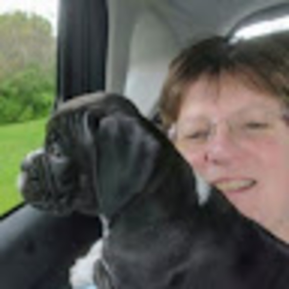 Meet your Posher, Katherine